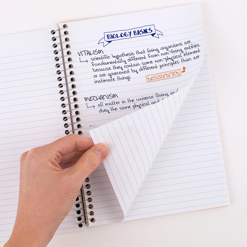 Five Star Small Spiral Notebook, 2 Subject, College Ruled Paper,