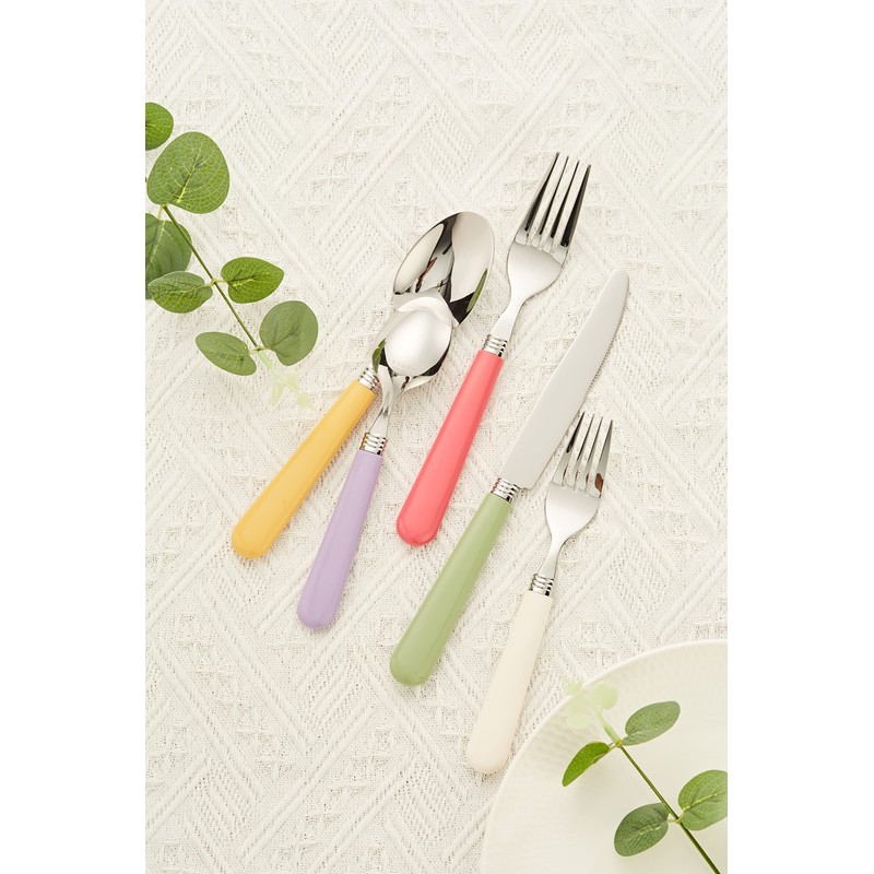 ANNOVA Silverware Set 20 Pieces Stainless Steel Cutlery Color Handle