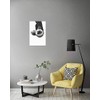 artboxONE Poster 30 x 20 cm Animals Little Sloth -