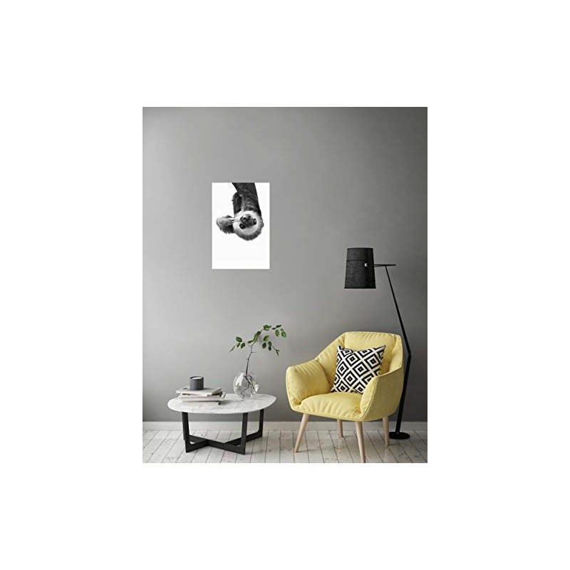 artboxONE Poster 30 x 20 cm Animals Little Sloth -