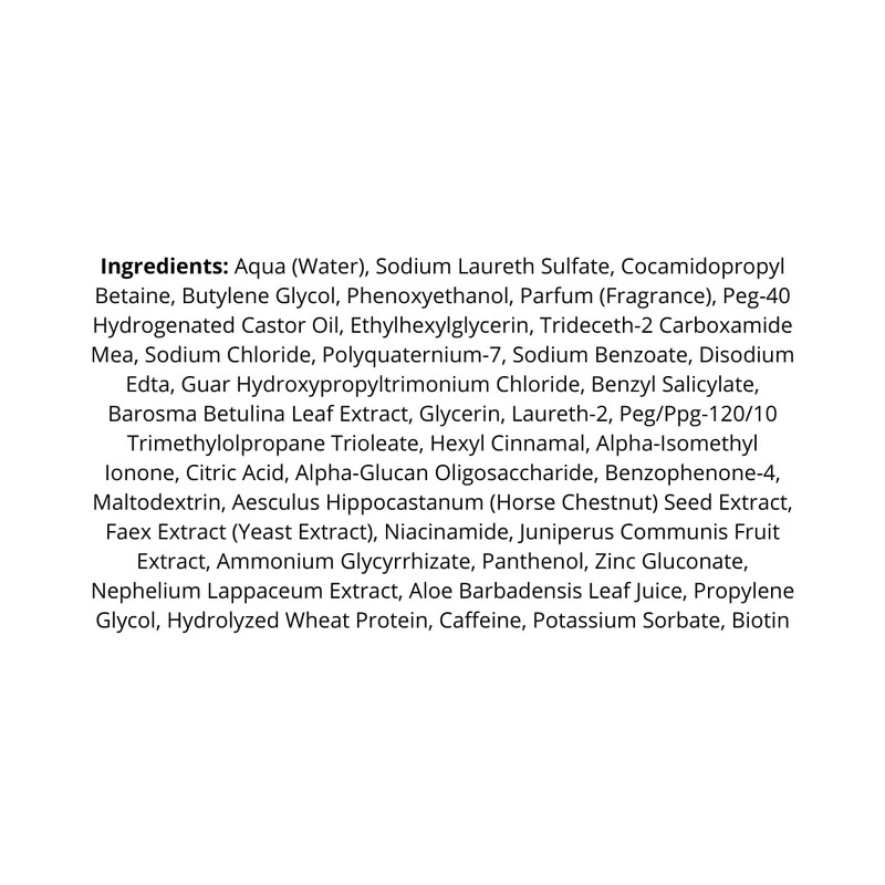 Alfaparf Group Il Salone Milano Scalp System Balance Shampoo Antisebo