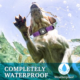 OKVSKO Airtag Dog Collar, Nylon Collar with Waterproof Air Tag Holder, Luminous Reflective Adjustable Pet Collar for Small Medium Large Heavy Duty Dogs,Purple, S