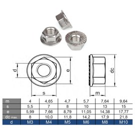 M6 Serrated Flange Nuts Marine Grade Style in A4 Stainless Steel 304 – Corrosion Resistant Fasteners (Pack of 20)