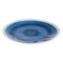 APS Blue Ocean Plate - 215mm