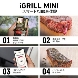 Weber iGrill Mini 7206 Smart Device for Barbecue Grills, Thermometer, Weber, Red
