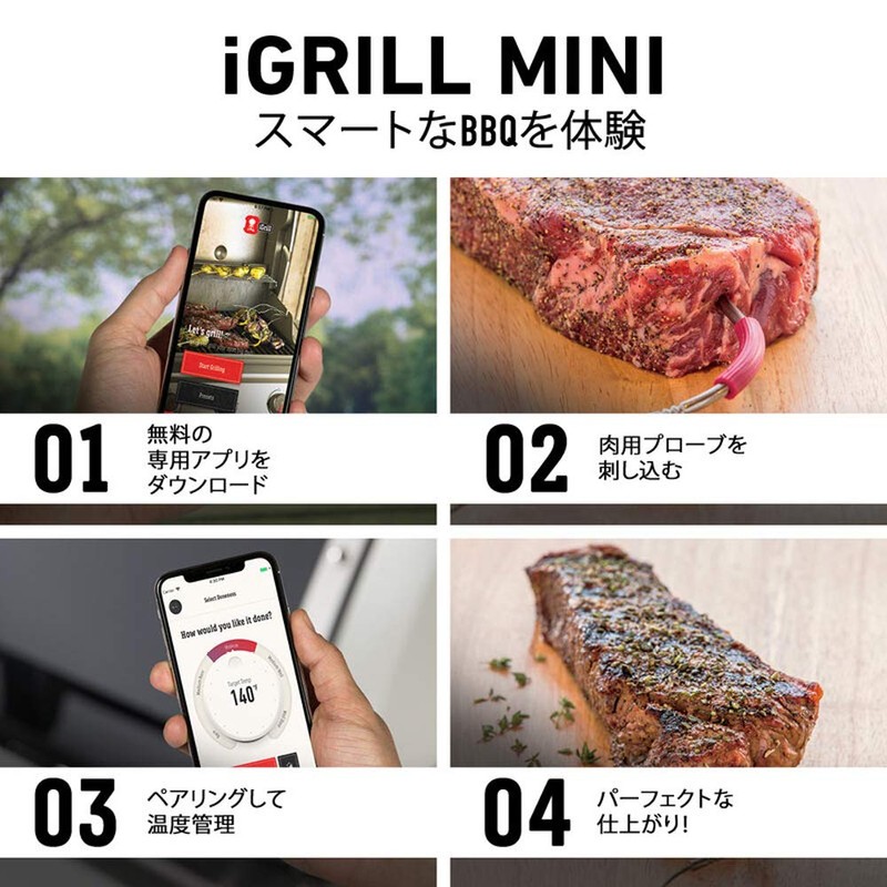 Weber iGrill Mini 7206 Smart Device for Barbecue Grills, Thermometer,