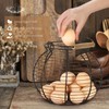 Flexzion Chicken Egg Basket Wire Egg Holder with Wooden Handles
