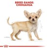 ROYAL CANIN, Puppy - Chihuahua, Croquetas para Perro, 1.1kg