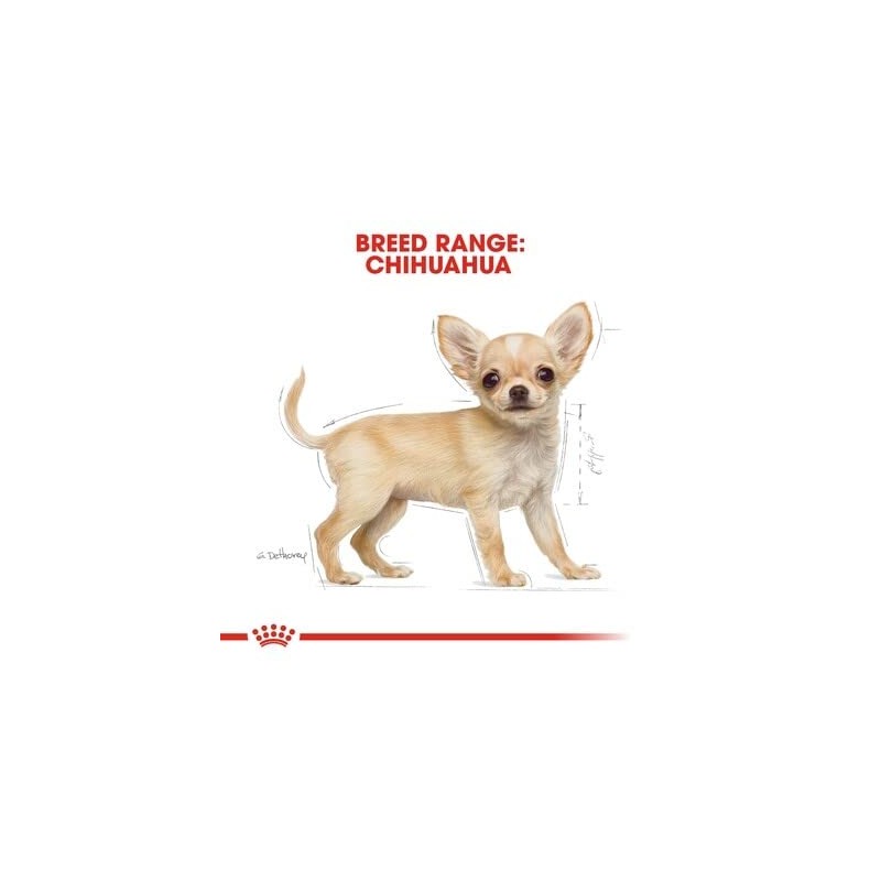 ROYAL CANIN, Puppy - Chihuahua, Croquetas para Perro, 1.1kg