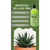 3 Set Acondicionador Hechizo Verde Coco Sábila Colageno Kit