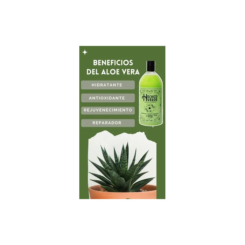 3 Set Acondicionador Hechizo Verde Coco Sábila Colageno Kit