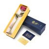 Beautiful Elegant Everlasting Gold Plated Rose Flower Valentine's Gift Red