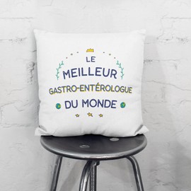 Mugffins Kissen mit Füllung mit Spruch für Arzt FÜR VERDAUUNGSMEDIZIN - Auf Französisch - Meilleur du Monde - 40 x 40 cm - originelles und lustiges Geschenk Mitarbeiter