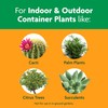 Miracle-Gro Cactus, Palm and Citrus Potting Mix, For Indoor or