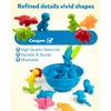 Coogam Counting Dinosaur Sorting Toy Set, Colour Matching Classification Game,