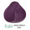 RBL Tinte Para Cabello Rbl Semipermanente Colores Fantasia 90g Color: