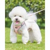 Petank Dog Harness for Small Medium Dogs No Pull, Puppy