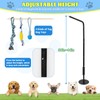 Tether Outdoor Dog Tug Toy, 360° Rotating Spring Pole, 3