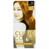[하프클럽/오티마트]꽃을든남자 클리닉칼라 N10 황금빛갈색 Half Club/Otiumart Flower Man Clinic Color N10 Golden Brown [Single item]