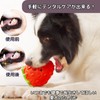 EU SOU Dog Chew Toy, Strawberry, Dog Toy, Nosework, Toothpaste,