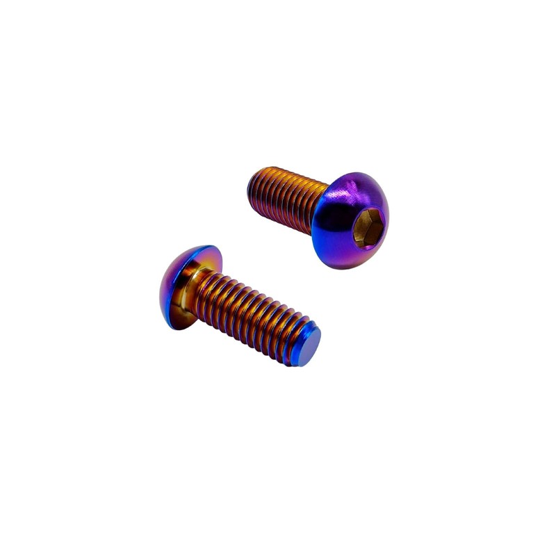 RISON Pack of 5 Titanium Rounded Head Screws with Hexagon