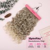 REECHO Curly Hair Extensions, 4PCS 16 inch Clip in Hair