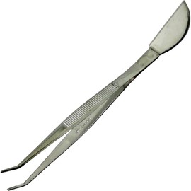 Probient Stainless Tweezers (Song)