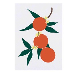 Azeeda 'Orangen und Blüten ' Temporäres Tattoo - Hautfreundlicher & Ungiftiger Abziehbild · Wasserfest (TO00073155)