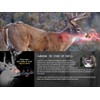 Nose Jammer Hunting Scent Control Dryer Sheets with Cover Scent