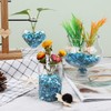 Wirow Small Natural Dyed Crushed Shells Bulk Crushed Shells for