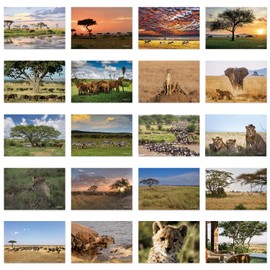 xtvinvm Serengeti Tanzania Africa Travel Postcards from Around the World Vintage Postcard Pack for Mailing Business Christmas Holiday Birthday Postcards with Mailing Side Set of 20