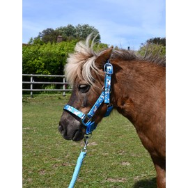 Rhinegold Unicorn Headcollar and Rope Set - Pony - Turquoise