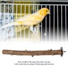 Pssopp Prickly Ash Wood Perch Stand Bird Wooden Chew Bite