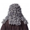 ORLOB KARNEVAL GmbH Curly Wig Judge Gray Nobleman Lord Nobleman