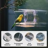 Window Bird Feeder with Strong Suction Cups - Clear Acrylic