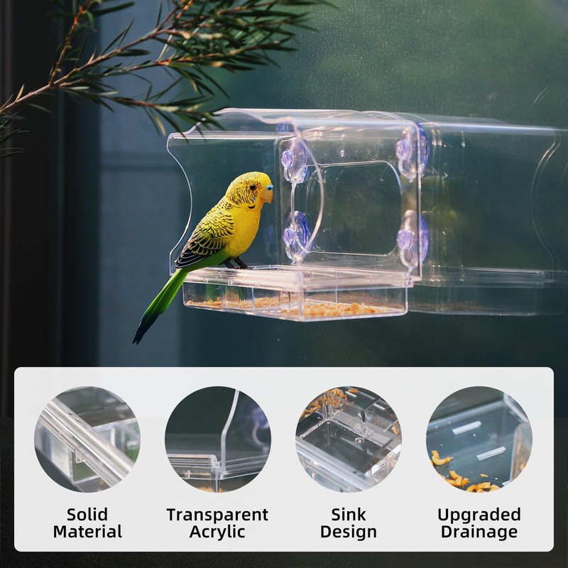 Window Bird Feeder with Strong Suction Cups - Clear Acrylic