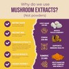 Grateful Earth Mushroom Coffee, Instant Espresso with Lion’s Mane Mushrooms,
