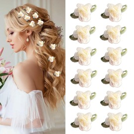 12Pcs Mini Flower Hair Clips Cute Flower Hair Accessories Alligator Clips Spring Floral Hair Barrettes for Women Girls Bride Wedding Birthday Party Hair Decoration