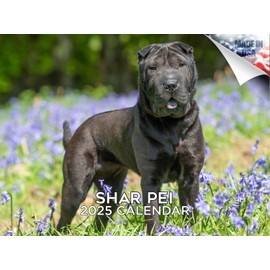 2024 2025 Shar Pei Calendar - Dog Breed Monthly Wall Calendar - 12 x 18 Open - Thick No-Bleed Paper - Giftable - Academic Teacher's Planner Calendar Organizing & Planning Calendar