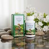 Mongul Cloud Partners Vegetarian habit Vegetarian cut supplement Alpha CD