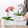 Meshpot 12cm Orchid Pots with Holes for Repotting, Set of