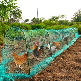 UNIFAMILY Flexible Chicken Tunnels 354 ×31 Inch, Chicken Coop Run, Chicken Tunnel for Yard Outside, Easy Installation Chicken Tunnel Runs Suitable for Chickens, Duck, Rabbit, green