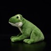 RLOMUTE Soft Frog Plush Toy - Cute Frog Cushion, Realistic