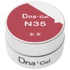 Dna Gel カラージェル N35 2.5g ローズハニー