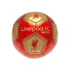 Liverpool FC Signature Skill Ball (One Size) (Red/Gold)