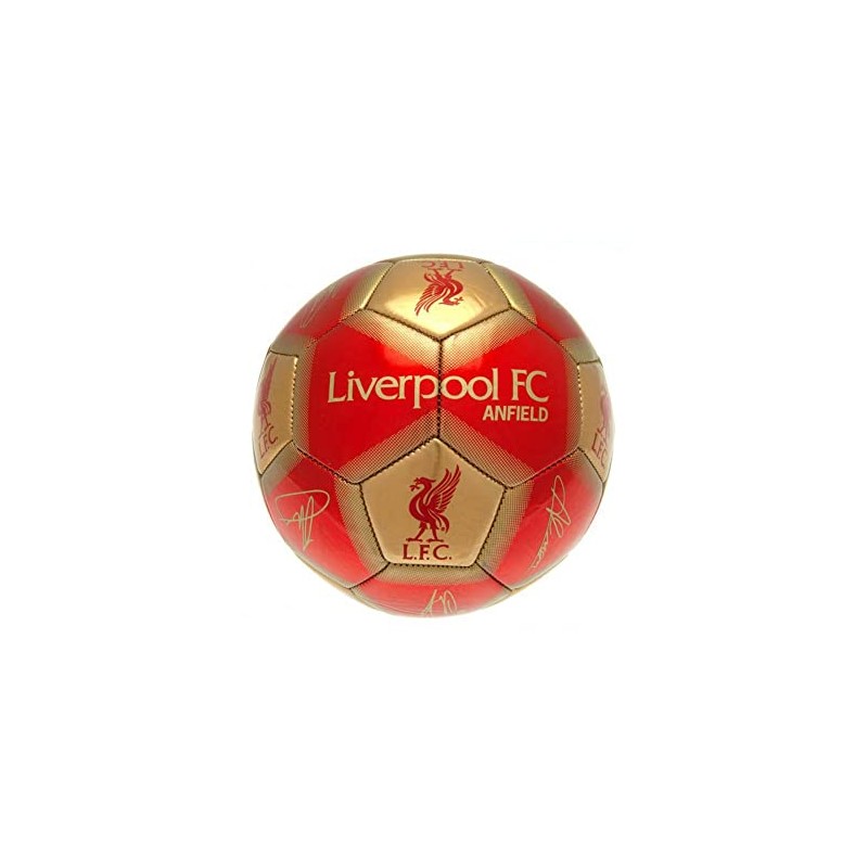 Liverpool FC Signature Skill Ball (One Size) (Red/Gold)