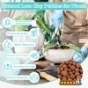 Sunwinx 19 LBS Natural Leca Clay Pebbles for Plants- 4-16mm