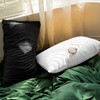 FLXXIE 2 Pack King Zipped Velvet Pillowcases, Soft and Cozy
