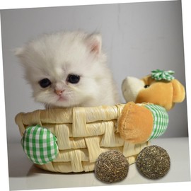 Sosoport 2pcs Catnip for Cats Natural Mint Chew Toys for Kittens Interactive Pet to Play and Relaxation for Indoor Cats and Teething