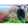 QANVEE Aquarium Sponge Filter Bubbler with Ultra Quiet Water Pump